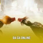 Đá Gà Online - Khám Phá Thế Giới Đầy Hấp Dẫn Tại 99OK
